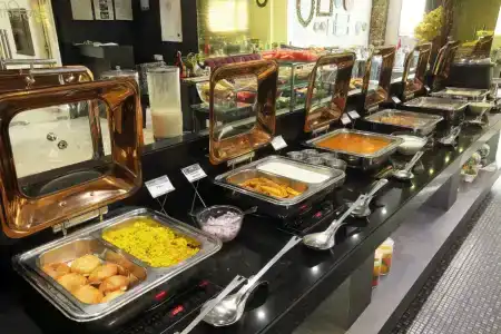 Vesta Maurya Palace - 8