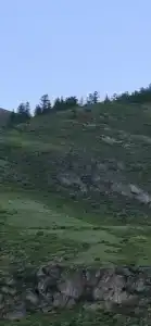 Алтай Ранчо - 7