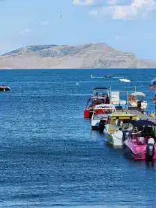 Новый Свет - 62