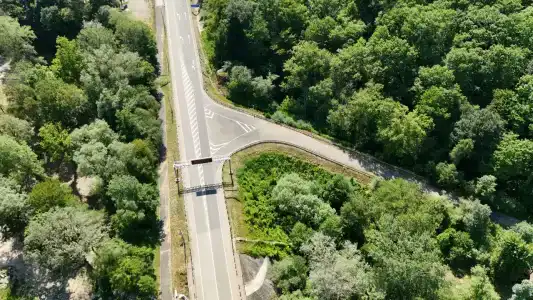 Кактус Арт - 17