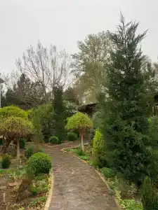 Asmald Palace - 9