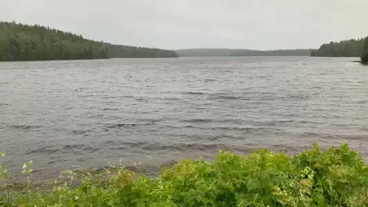 Усадьба Гирвас - 20