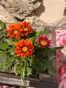 Welcome Голубой Залив - 27