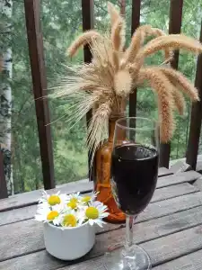 Магия леса - 31