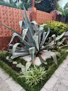Бамбуковый Рай - 4