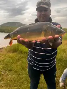 Широкая балка - 81