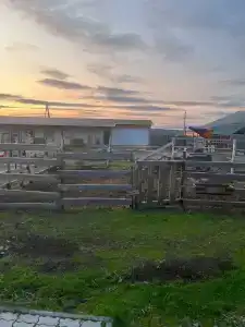 Мурманская страусиная ферма - 50