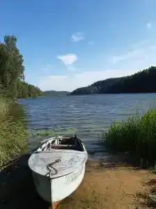 Карельские Лага - 29