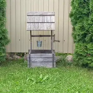 Династия - 38