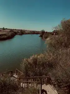 Орловский пруд - 27