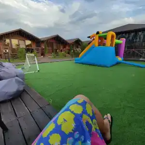 Платан-Paradise - 10