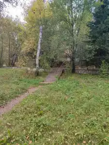Три Медведя - 29