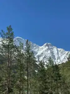 Mountfeel - 4