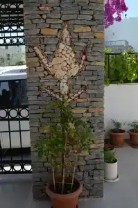 Salinas Bodrum - 33