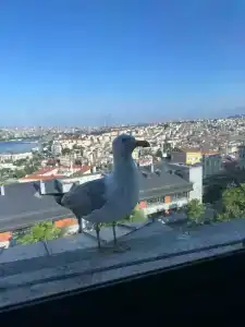 Radisson Blu Istanbul Pera - 12