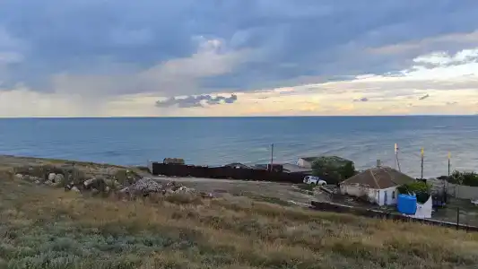 Сурица - 12