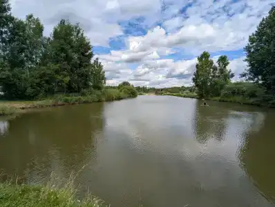 Скиф - 49