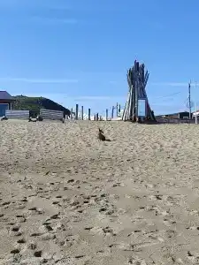 Териберка Тур - 81