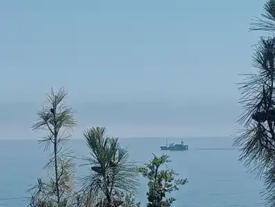 Багира - 16