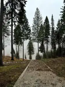 Сылва Ривер - 43