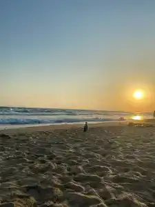 Песок и море - 53