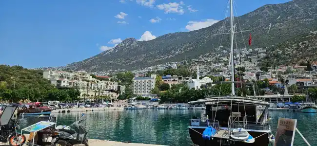 Mogons Exclusive - 31