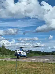 Родина Аэро - 31