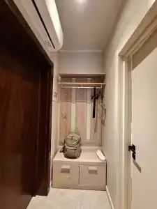 Родина Аэро - 44