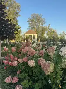 Жемчужина - 2