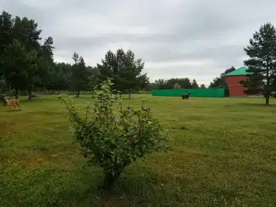 Островок - 17