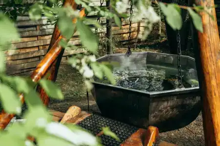 Гуси-Лебеди - 26