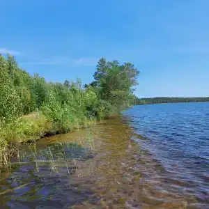 Малые Чертаны - 35