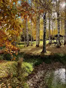 Эковиладж Селигер - 8