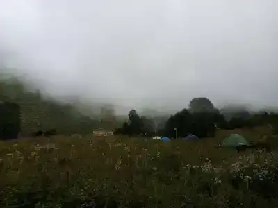 Нахазо - 20
