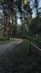 Крутой Яр - 23
