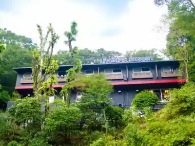 Livemax Resort Hakone-Sengokuhara - 33
