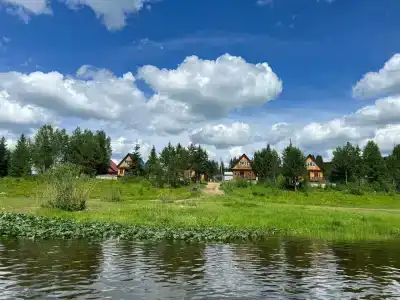 Лесная гармония - 34