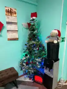 Любимый город - 11