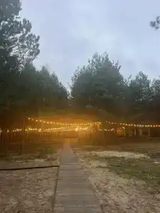 Где-то под Питером - 29