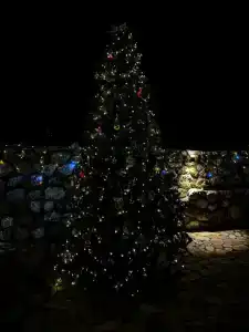 Гнездо Солнца - 38