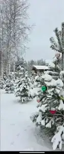 Рыбацкий Двор - 42