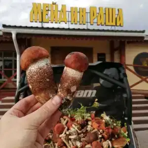 Медвежья Гора - 13