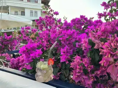 Naturella Apart - 45