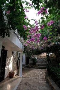 Mare Garden - 49