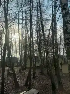 Ёжик в тумане - 28