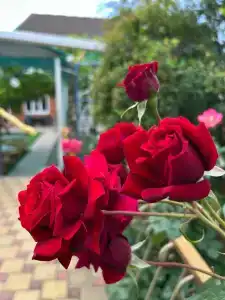 100% - 8