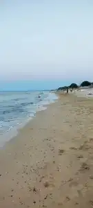 Маргарита - 72