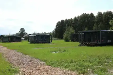Лён - 85
