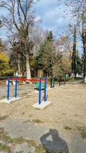 Парус - 12
