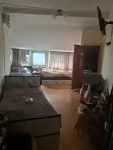 Атлант Экзотик - 89